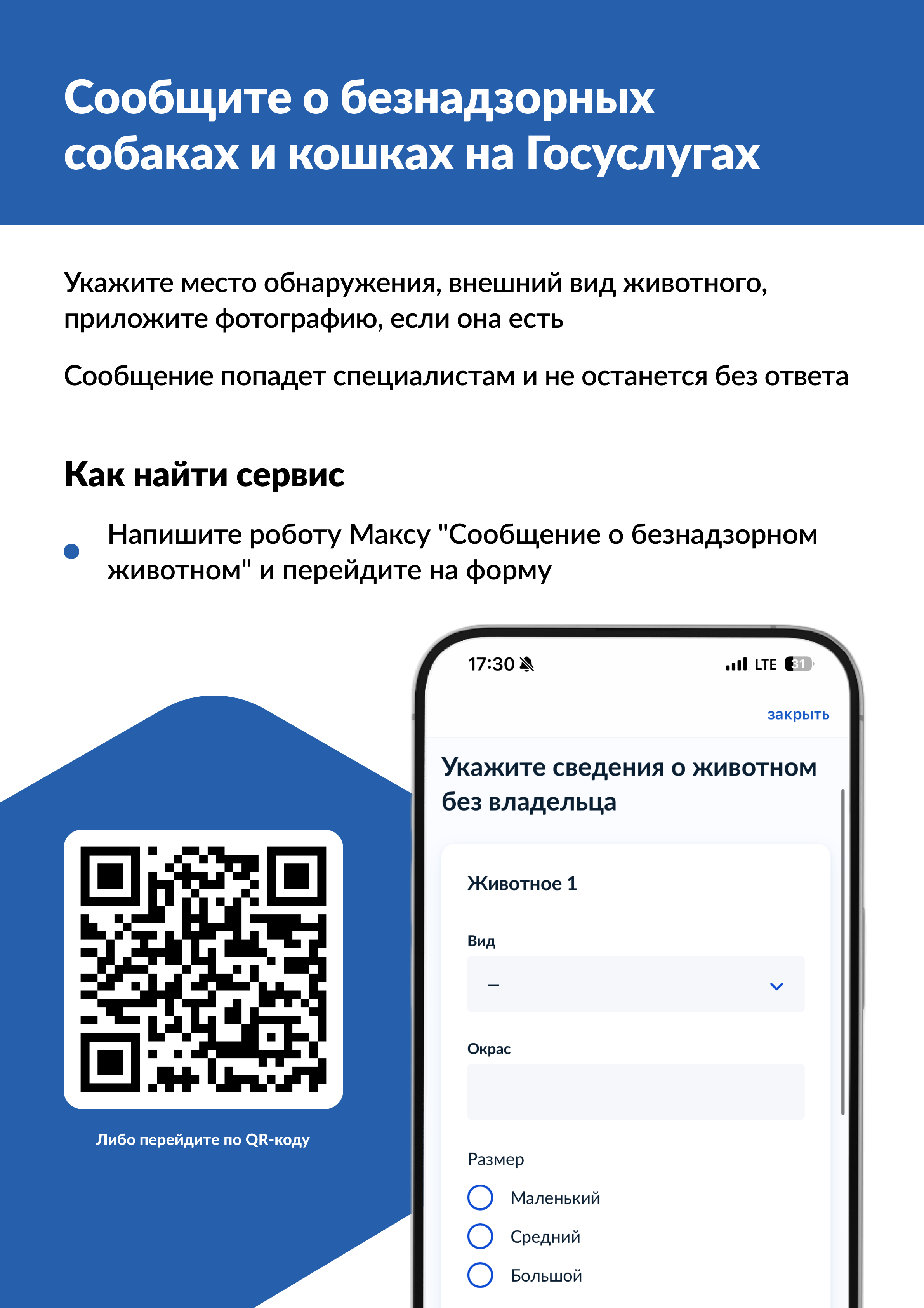 На Госуслугах можно оперативно передавать информацию о безнадзорных кошках и собаках, а также записать своего питомца в государственную ветклинику